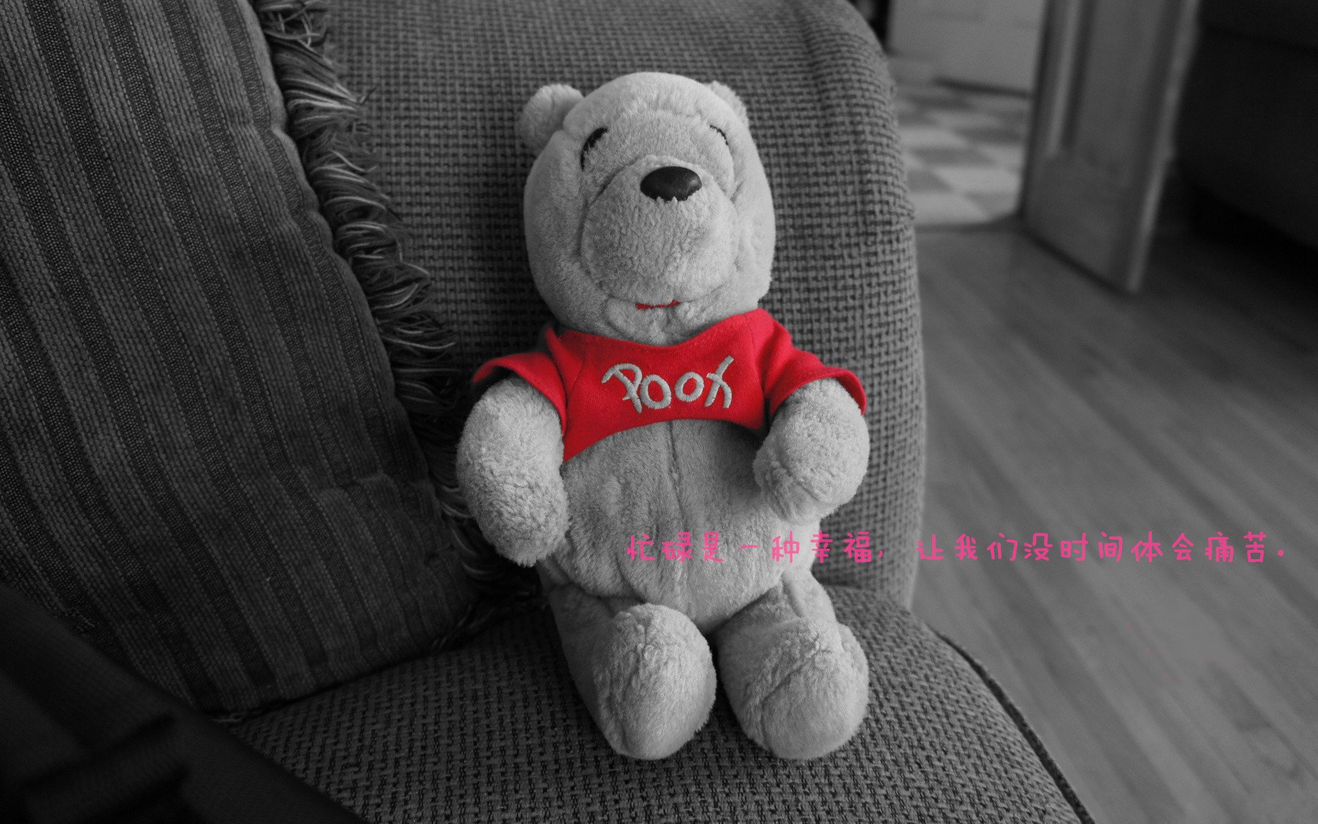 【比赛规则变革】新规出台,运动员如何应对?,比赛规则怎么规定