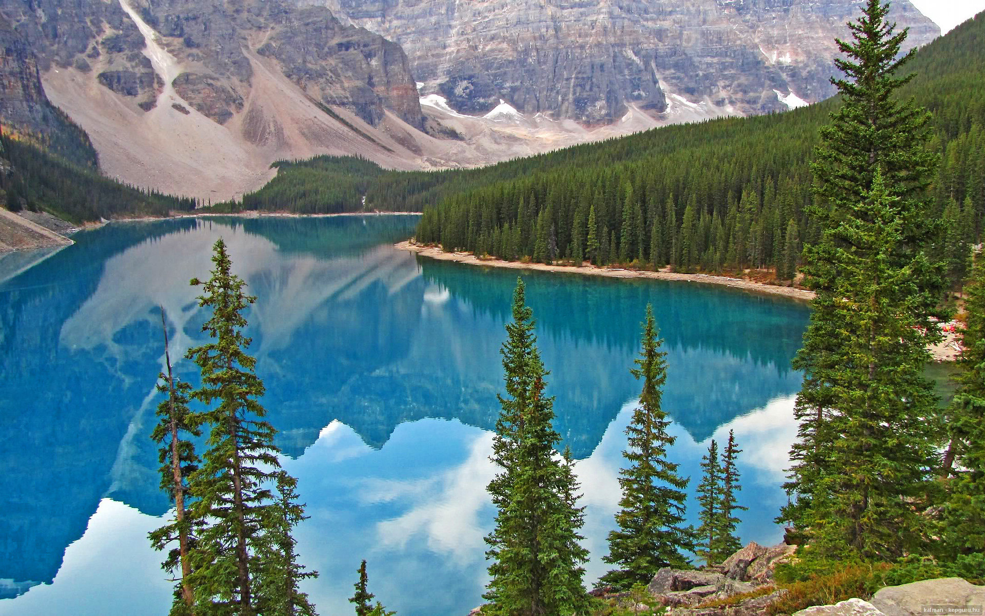 勇士队与AI公司合作分析对手战术倾向,勇士球队合影