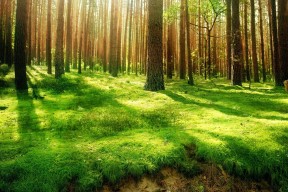 开云体育视频直播-中国篮球职业联赛青年球员崛起势头强劲，中国青年篮球联赛叫什么