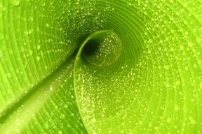 开云网页版登录入口-坦克世界“钢铁之巅”冠军对抗赛正式启幕，钢铁联赛