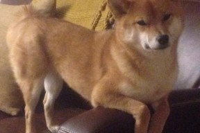 开云入口-中国篮球裁判全国普及培训班圆满结束，裁判水平提升明显，中国篮球裁判国家级考试时间安排表