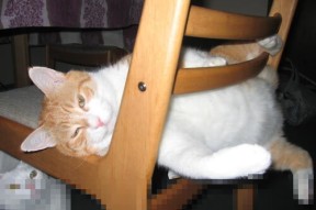 开云体育平台-冬奥神队？墨西哥靠足球冰场逆天翻盘，墨西哥国奥队