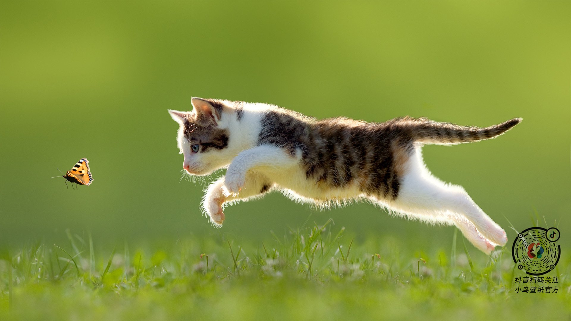 《电竞公益:比赛带动善款捐赠行动》,电竞赞助策划案